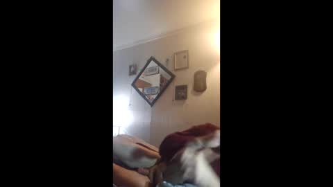 hoglegg99384194 online show from 27, 4, 2026