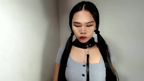 hollyhalo online show from 24, 11, 2025