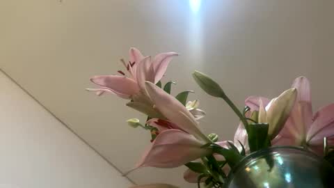 space online show from 12, 1, 2026