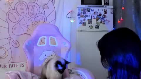 Snapshot of holy420loly chatting on 18, 1, 2026 Ho Lee Sheet online show from 18, 1, 2026