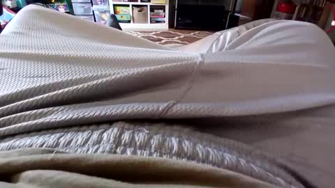 holycannoli123 online show from 15, 10, 2025