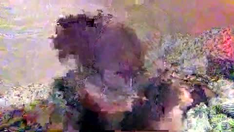 Snapshot of hometownwitch chatting on 25, 11, 2025 hometownwitch online show from 25, 11, 2025