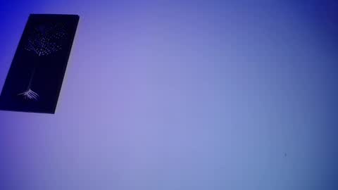 Honney online show from 14, 2, 2025