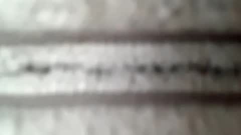 Snapshot of honeyboy010902 chatting on 10, 2, 2026 honeyboy010902 online show from 10, 2, 2026