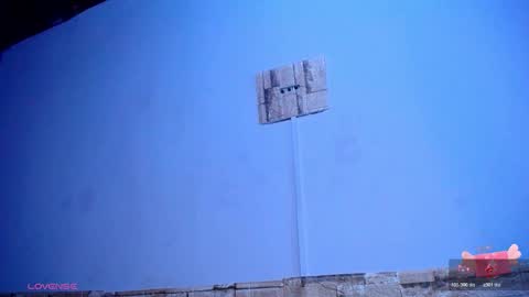 Victoria online show from 19, 11, 2025