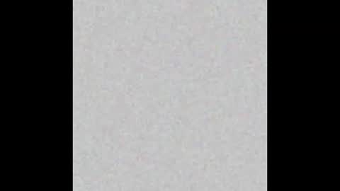 HoneyVelourTS online show from 26, 2, 2026