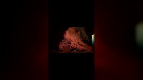 Snapshot of hoodiehoe chatting on 3, 3, 2026 hoodiehoe online show from 3, 3, 2026