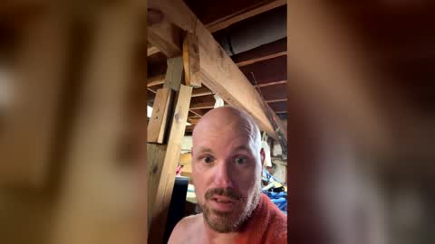 hopper_in_joyce online show from 14, 5, 2026