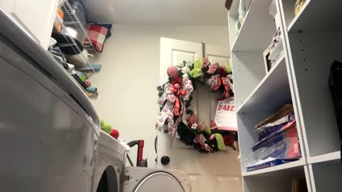 hornieecum online show from 20, 1, 2025