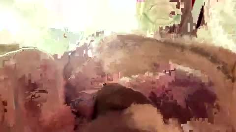 Snapshot of hornieecum chatting on 2, 3, 2026 hornieecum online show from 2, 3, 2026