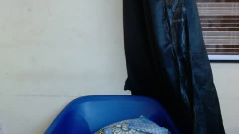 horny4bum online show from 1, 3, 2025