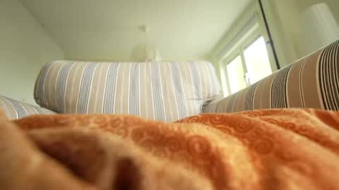 Snapshot of horny_edgucated chatting on 3, 5, 2026 horny_edgucated online show from 3, 5, 2026