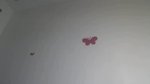 Iris online show from 15, 1, 2026