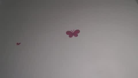 Iris online show from 5, 2, 2026