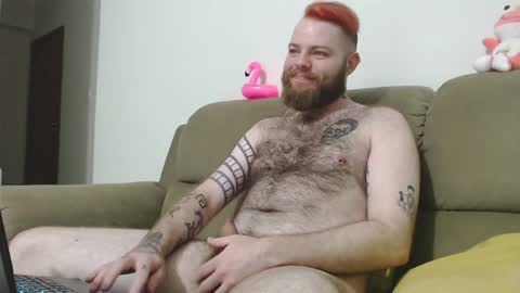 Snapshot of hornyhairy_bi chatting on 2, 12, 2024 Harry online show from 2, 12, 2024
