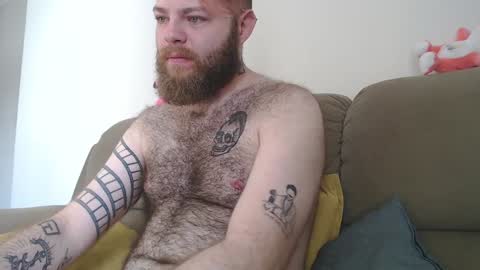 Snapshot of hornyhairy_bi chatting on 9, 12, 2024 Harry online show from 9, 12, 2024