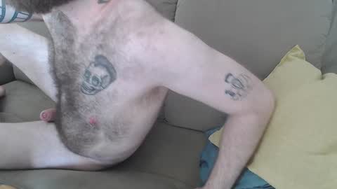 Snapshot of hornyhairy_bi chatting on 16, 1, 2025 Harry online show from 16, 1, 2025