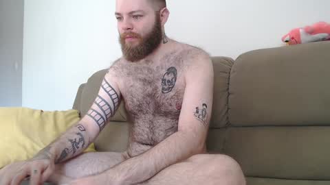 Snapshot of hornyhairy_bi chatting on 5, 2, 2025 Harry online show from 5, 2, 2025