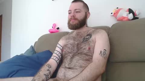Snapshot of hornyhairy_bi chatting on 24, 2, 2025 Harry online show from 24, 2, 2025