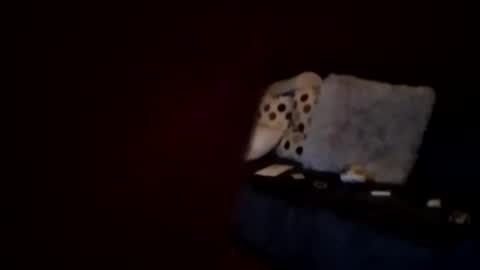 hornypaul84 online show from 7, 1, 2026