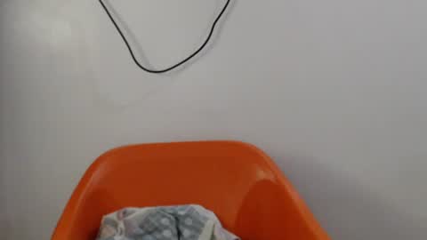 Snapshot of hornyxbum chatting on 14, 7, 2026 hornyxbum online show from 14, 7, 2026