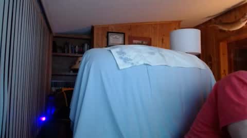 horsebigballs online show from 2, 11, 2025