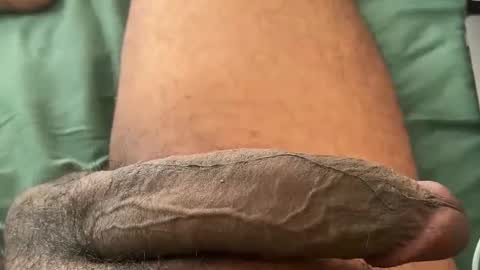 Bbc horsey online show from 12, 1, 2026