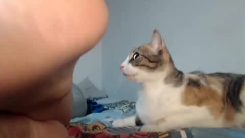 angels online show from 24, 1, 2025