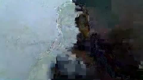 hotagrace online show from 4, 2, 2026