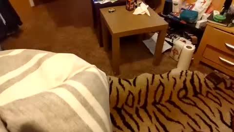 hotboy69735953 online show from 15, 3, 2026