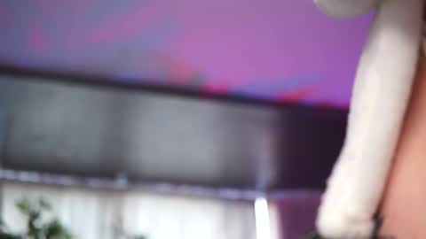 Anais online show from 19, 1, 2026