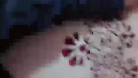 Hotcapolx online show from 23, 11, 2025