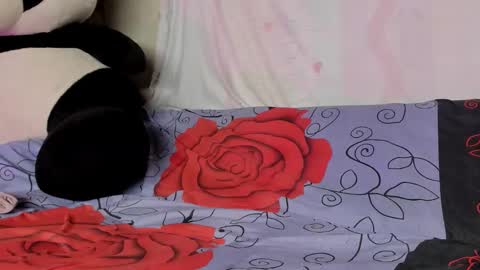 Snapshot of hotcherryxo chatting on 8, 3, 2026 Candy online show from 8, 3, 2026