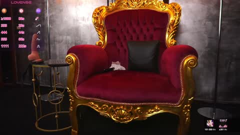 Snapshot of hotdesy_ chatting on 20, 12, 2024 Mistress online show from 20, 12, 2024