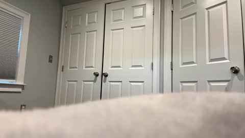 hotdog1124 online show from 16, 10, 2025