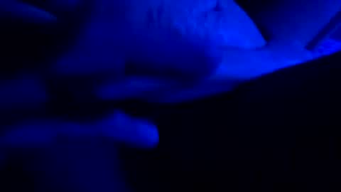 hotsexy6985 online show from 24, 5, 2026