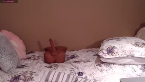 dawn online show from 17, 3, 2026