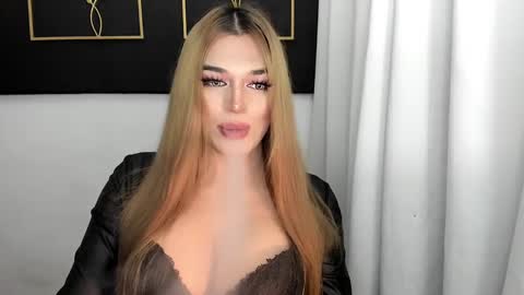 STELLA online show from 8, 3, 2025