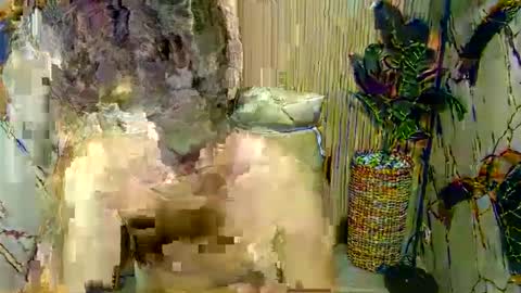 hottestloues online show from 26, 4, 2026