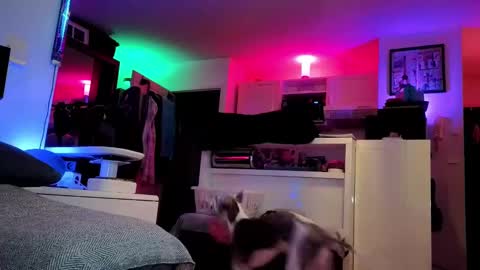 Hugo online show from 25, 2, 2025