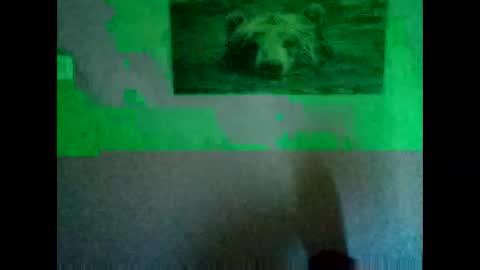 Snapshot of huidos2006 chatting on 11, 11, 2025 huidos2006 online show from 11, 11, 2025