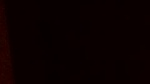 Snapshot of huidos2006 chatting on 17, 2, 2026 huidos2006 online show from 17, 2, 2026