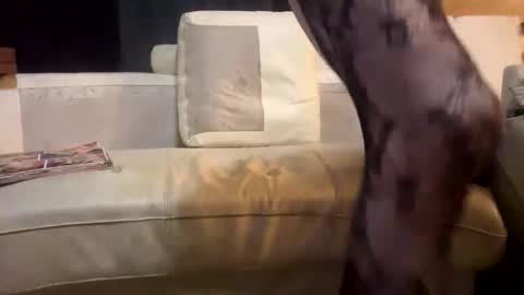 huippari online show from 15, 12, 2025