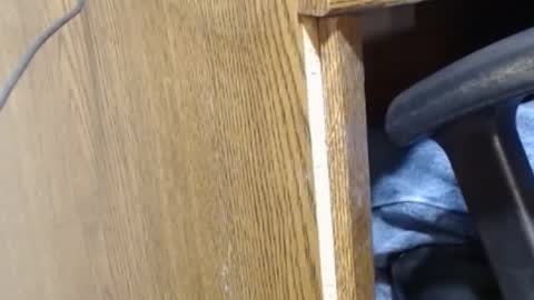 hungsofine online show from 23, 12, 2024