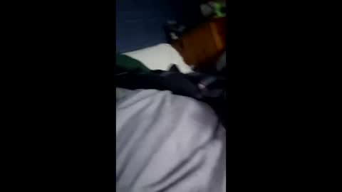 hunk1987_ online show from 12, 4, 2026