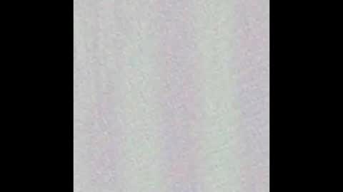 Wh8teboi online show from 30, 11, 2025