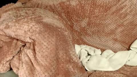 Kayla online show from 11, 12, 2024