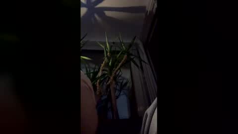 hypervenom369888 online show from 7, 3, 2026