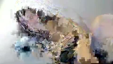 Snapshot of i_love_eula chatting on 12, 2, 2025 cant get you out of my head online show from 12, 2, 2025