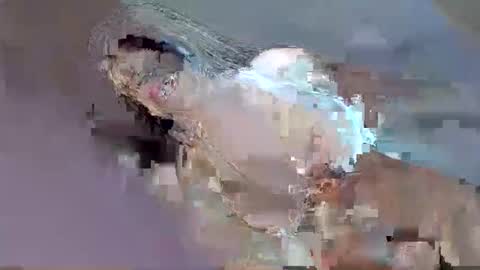 Snapshot of i_love_eula chatting on 12, 9, 2025 cant get you out of my head online show from 12, 9, 2025